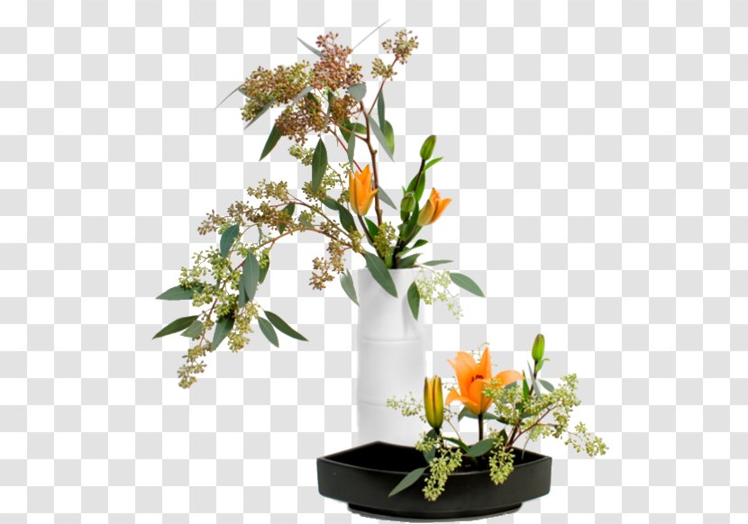 Ikebana Flower Japan Art Floristry Transparent PNG