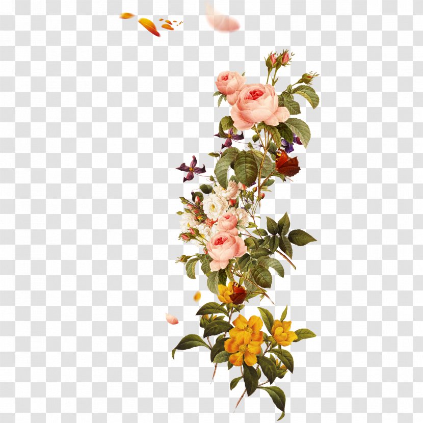 Flower Petal Template - Presentation - Bouquet Transparent PNG