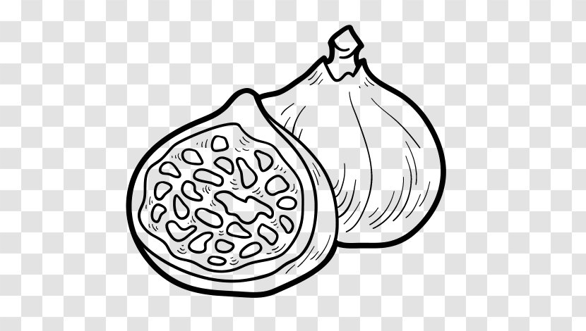 Drawing Coloring Book Common Fig Food - Line Art Transparent PNG