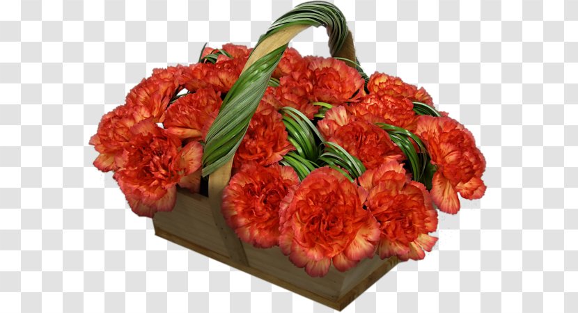 Red Meat Cut Flowers Web Hosting Service - Carnations Transparent PNG