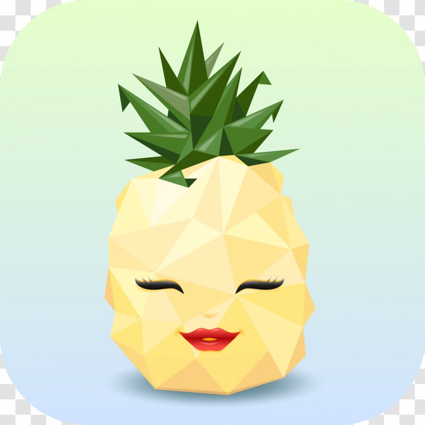 Pineapple IPhone Home Screen - Flowerpot Transparent PNG