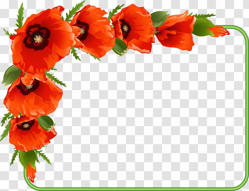 Royalty-free Poppy Drawing - Flowerpot Transparent PNG