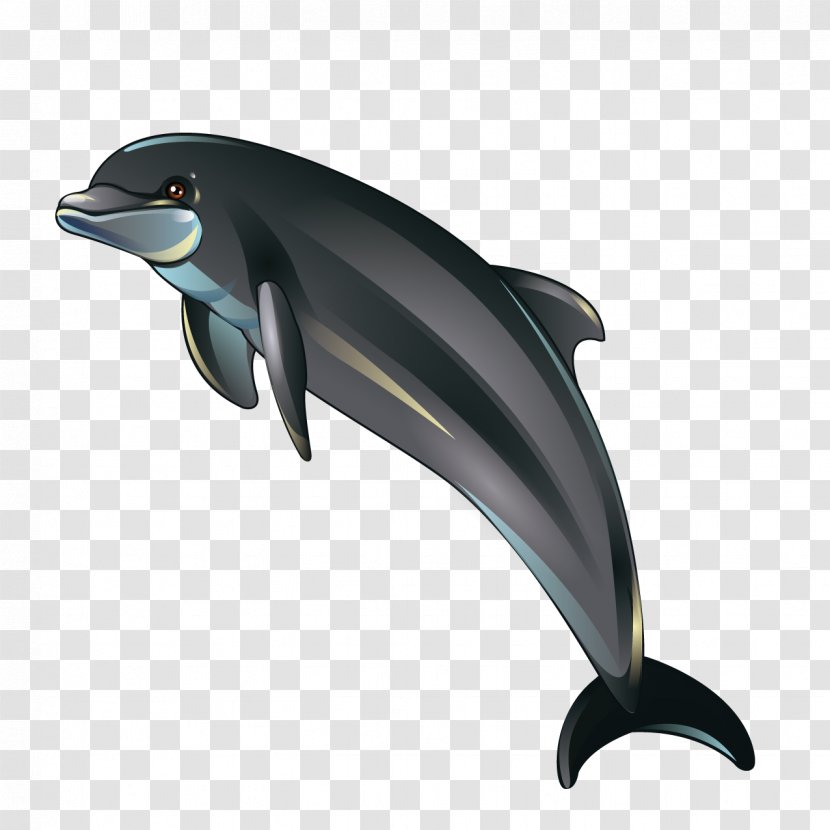 Dolphin Cartoon Illustration - Fin Transparent PNG