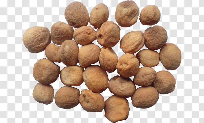 Afghan Cuisine Biryani Hazelnut Dried Apricot - Nut - Dry Fruit Transparent PNG