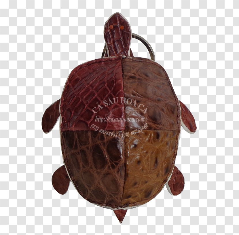 Tortoise Pond Turtles Maroon - Turtle - Rua Transparent PNG