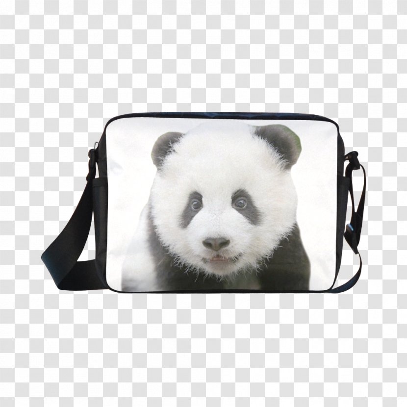 Giant Panda Bear Cushion T-shirt Throw Pillows - Nylon Bag Transparent PNG