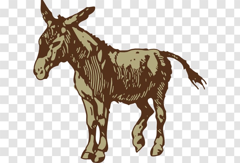 T-shirt Sticker Donkey Jackass Illustration - Mule Cliparts Transparent PNG