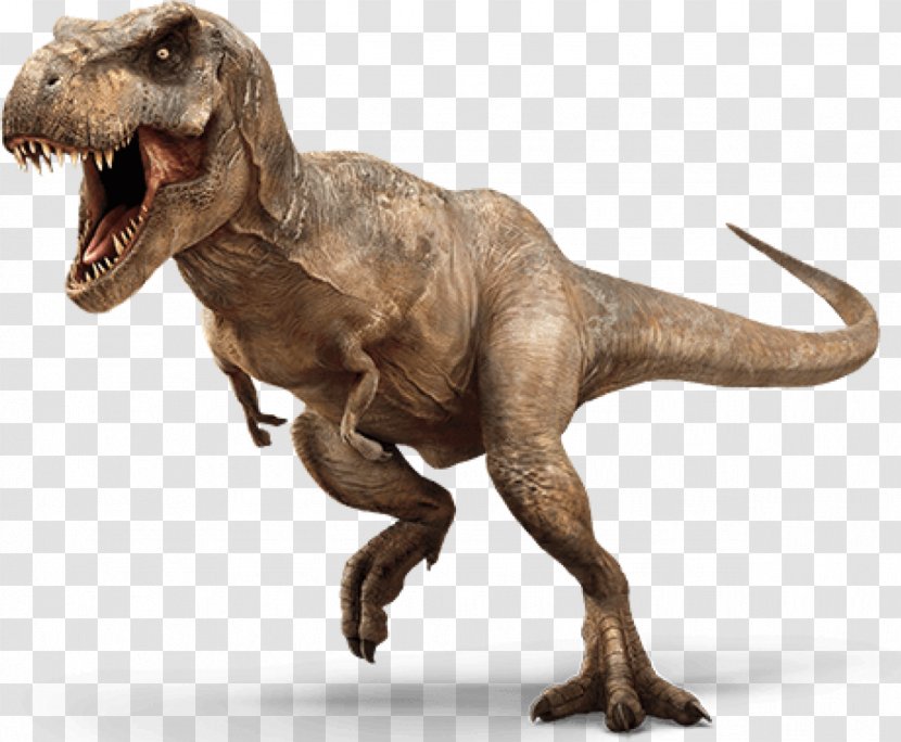 Jurassic World Evolution Park: The Game Tyrannosaurus Dinosaur Transparent PNG