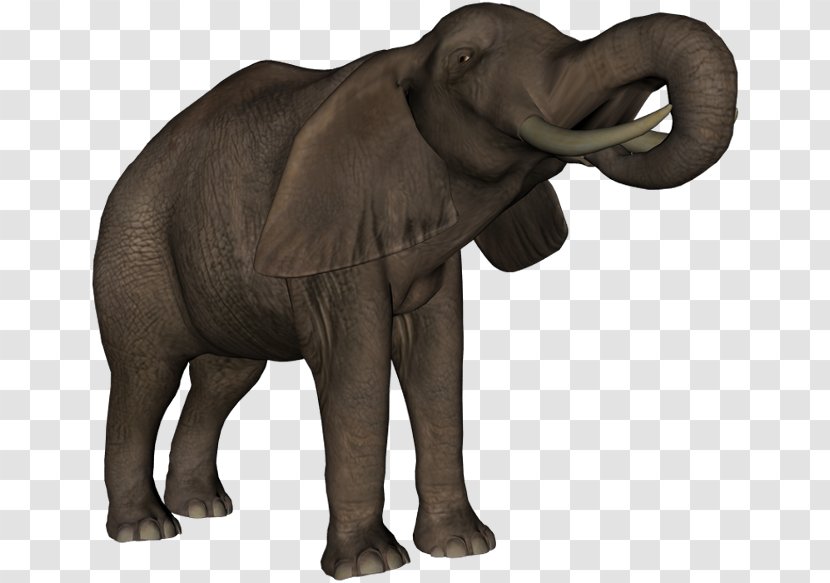 Indian Elephant African Elephantidae Diary Blog - Dieren Transparent PNG