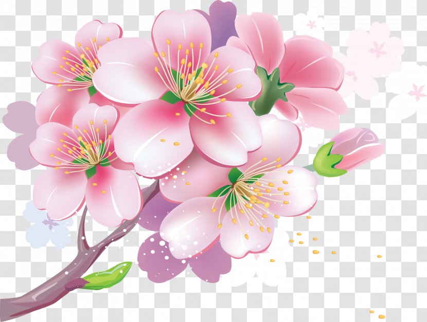 Cherry Blossom Photography Clip Art - Branch - BLOSSOM Transparent PNG