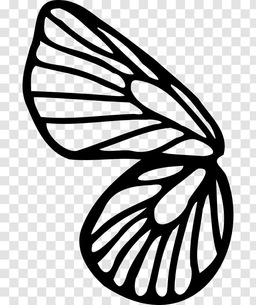 Butterfly Drawing Coloring Book Line Art Clip - Black And White Transparent PNG