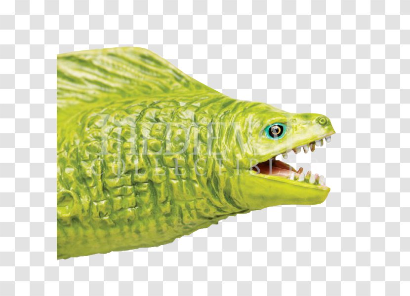 Moray Eel Reptile Giant Safari Ltd - Aggression - Closeup Transparent PNG