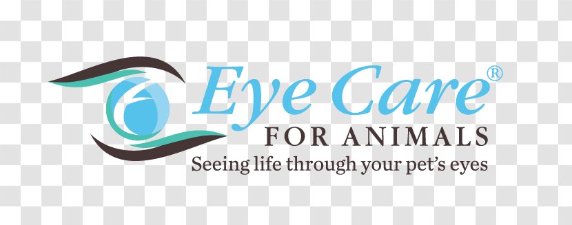 Eye Care For Animals Veterinarian Veterinary Specialties Medicine Transparent PNG