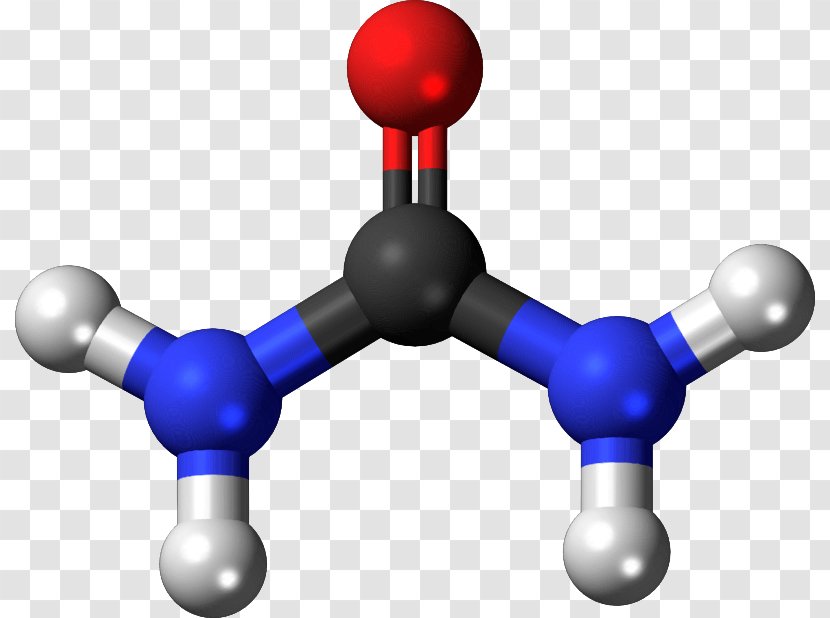 Urea Molecule Chemistry Molecular Model Ammonia - Organic Compound - Molecules Cliparts Transparent PNG