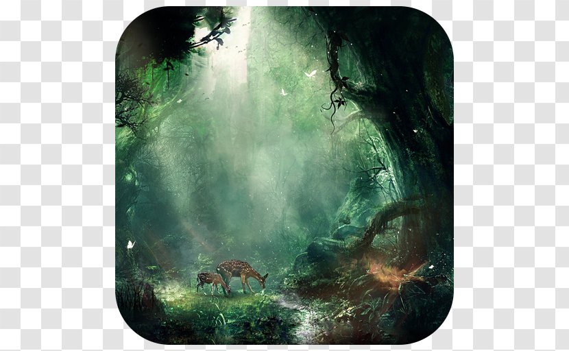 Fantasy Forest Desktop Wallpaper Transparent PNG