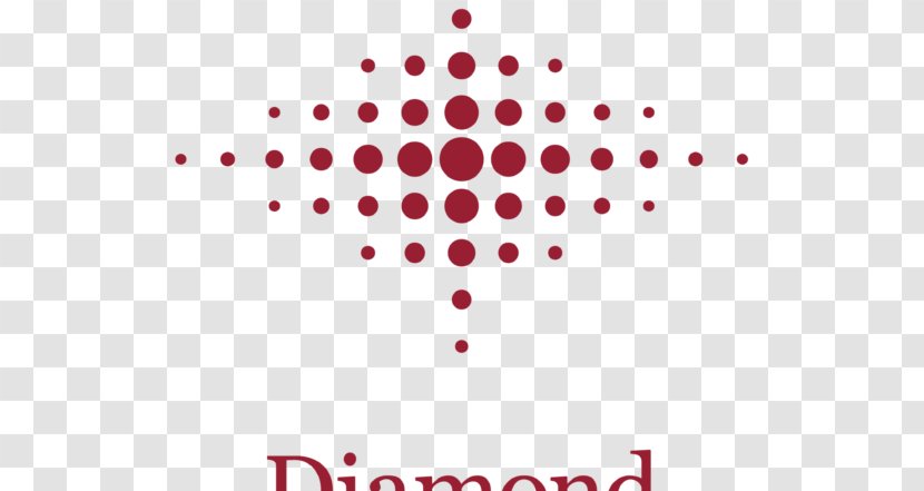 Diamond Foods, Inc. Snyder's-Lance Lance Potato Chip - Foods Inc - Business Transparent PNG