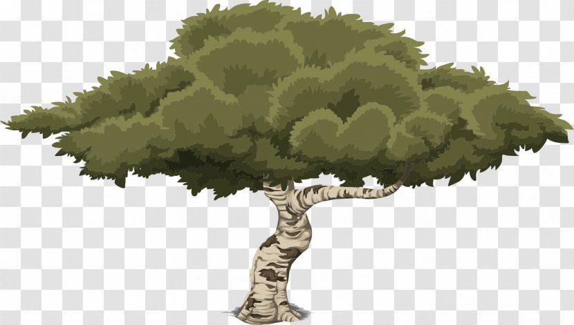 Tree Drawing - Shrub - Watercolor Transparent PNG