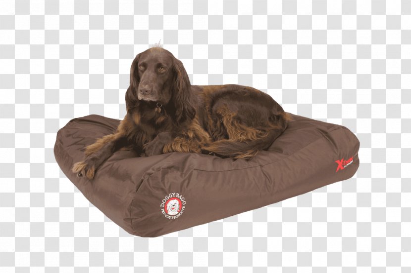 Dog Breed Amazon.com Teflon 48 Bed - Mattress Transparent PNG