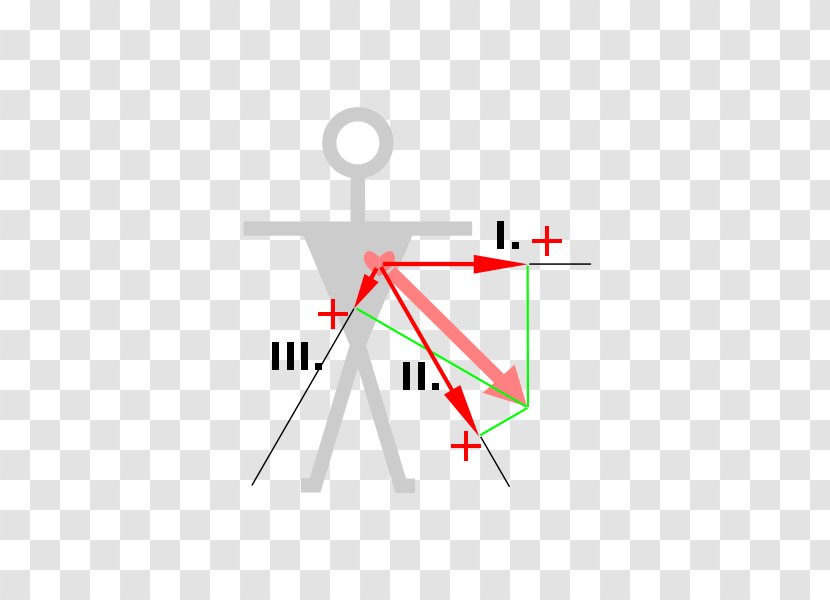 Electrocardiography Einthoven's Triangle Cardiology Medicine - Electrical Switches Transparent PNG