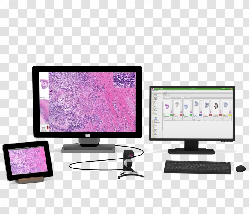 Computer Monitors Digital Pathology Data - Monitor Transparent PNG