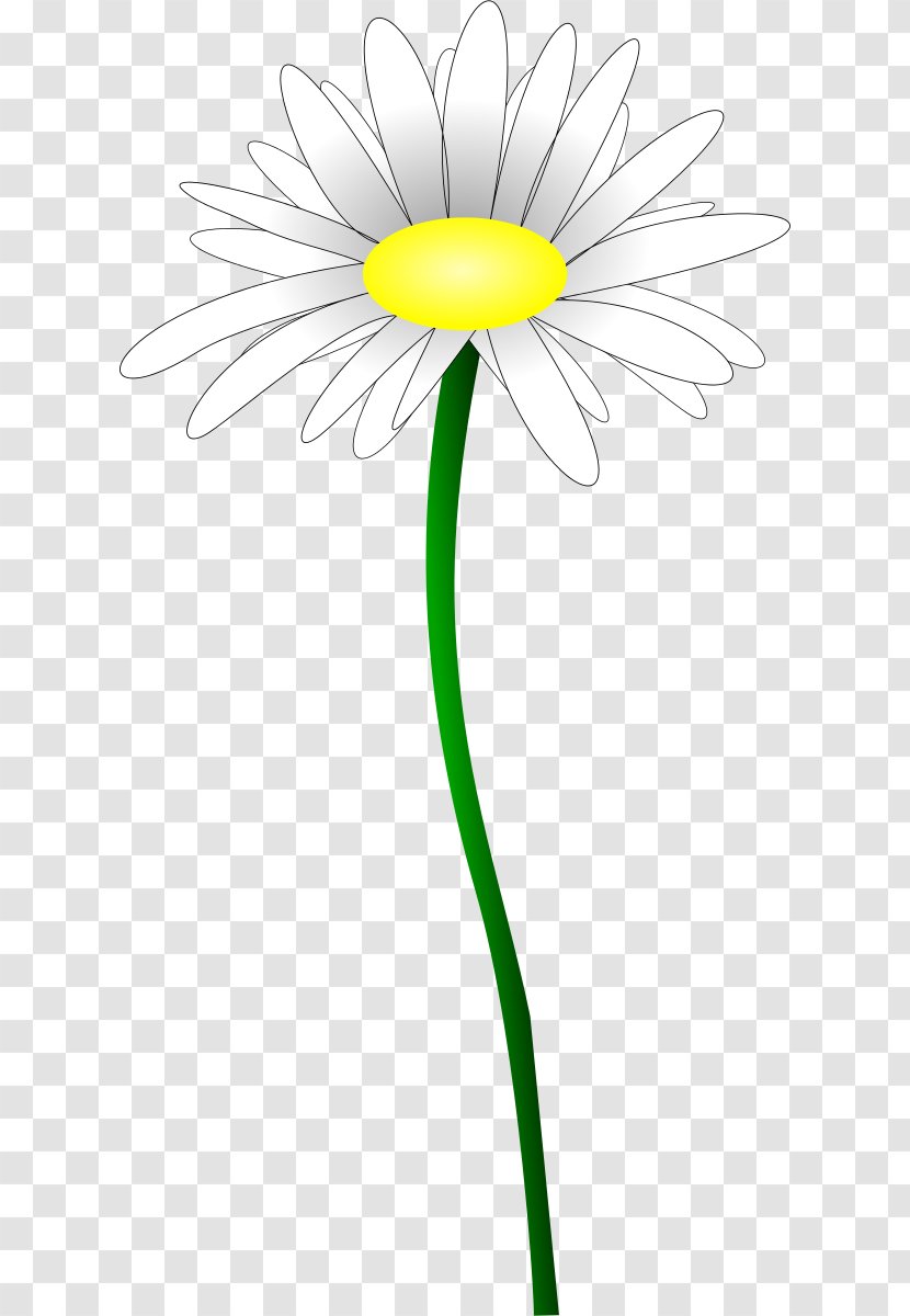 Daisy Family Oxeye Common Flower Yellow - Forget Me Not Transparent PNG