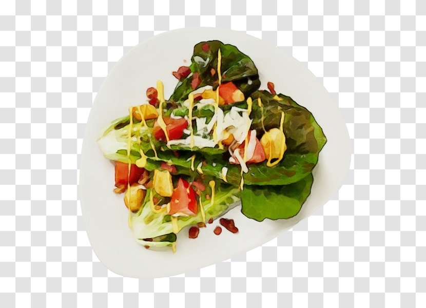 Watercolor Garden - Vegetarian Food - Meat Garnish Transparent PNG
