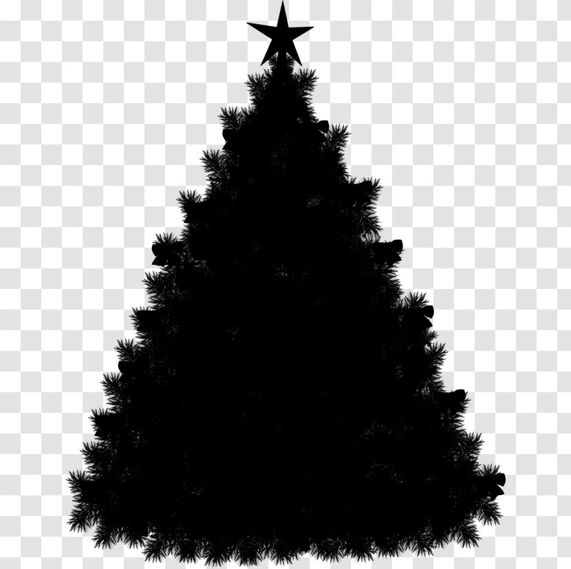 Christmas Tree Fir Spruce Vector Graphics Royalty-free - Evergreen - Interior Design Transparent PNG