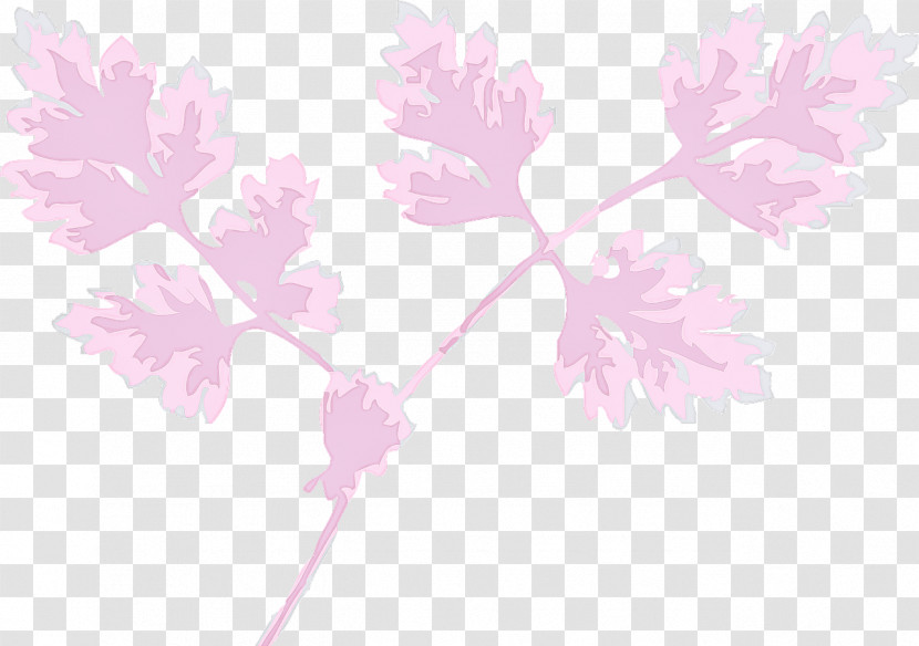 Pink Flower Leaf Plant Branch Transparent PNG