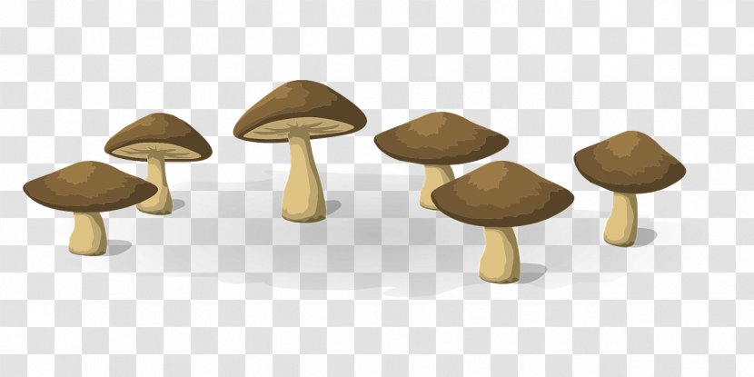 Mushroom China Root Food Transparent PNG