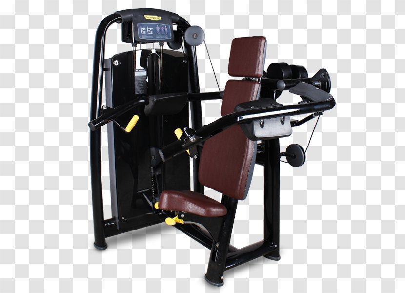 Exercise Equipment Fitness Centre Machine Deltoid Muscle - Technogym - Gym Equipments Transparent PNG