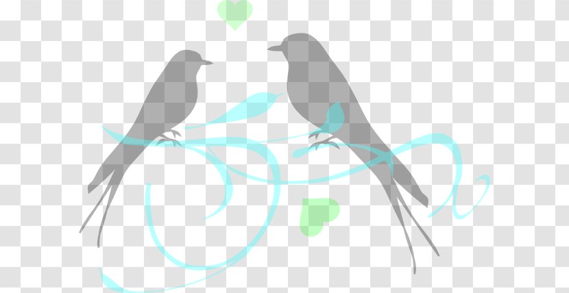 Kiss Bird Love Clip Art - Lovebird Transparent PNG