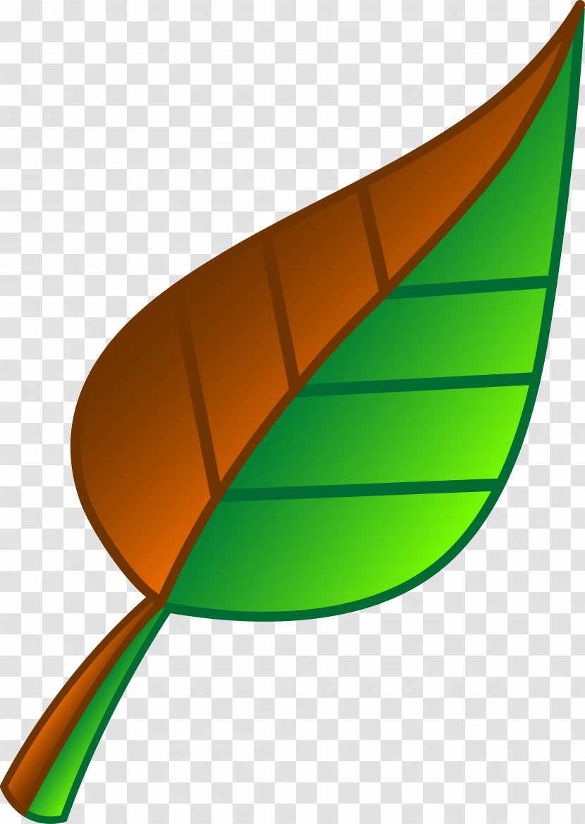 Leaf Green Clip Art - Maple - Clipart Transparent PNG