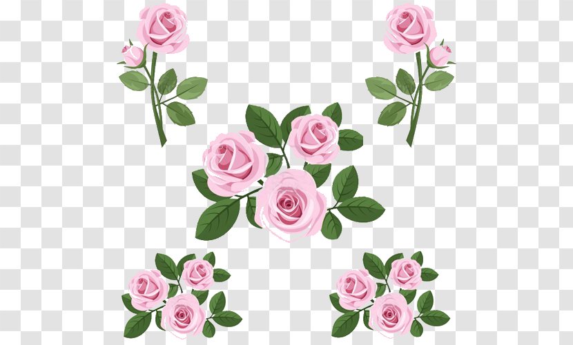 Garden Roses Nail Art Cabbage Rose Transparent PNG