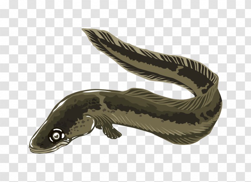 Electric Eel Clip Art - Free Content - Cliparts Transparent PNG