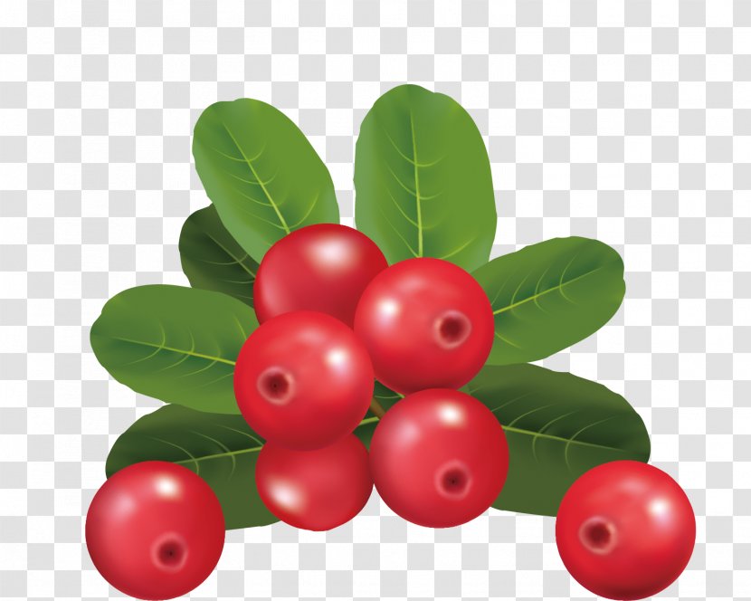 Cherry Berry - Bilberry - Vector Material Transparent PNG