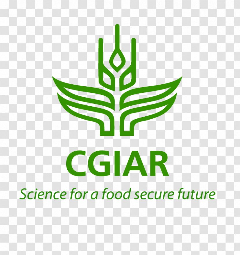 CGIAR Agriculture International Food Policy Research Institute Livestock - Security - Bioethics Transparent PNG