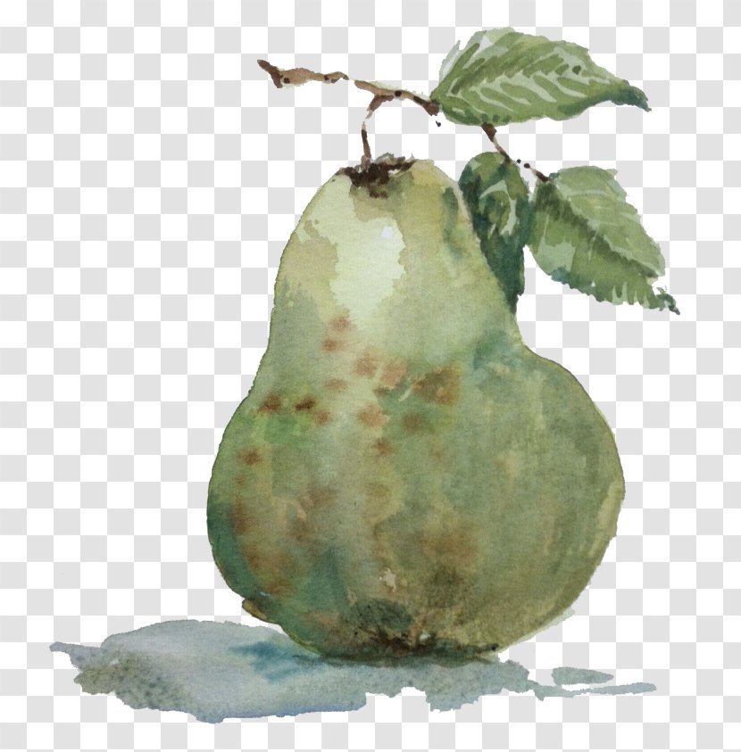 Pear Still Life Photography Fahrenheit - Fruit Transparent PNG