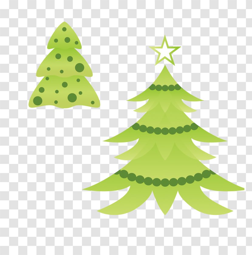 Balsam Fir Christmas Tree Drawing Ornament - Pine Family - Star Transparent PNG
