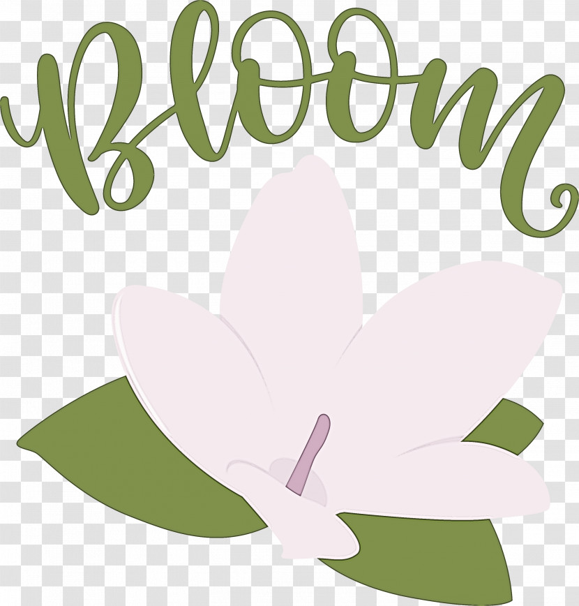 Bloom Spring Flower Transparent PNG