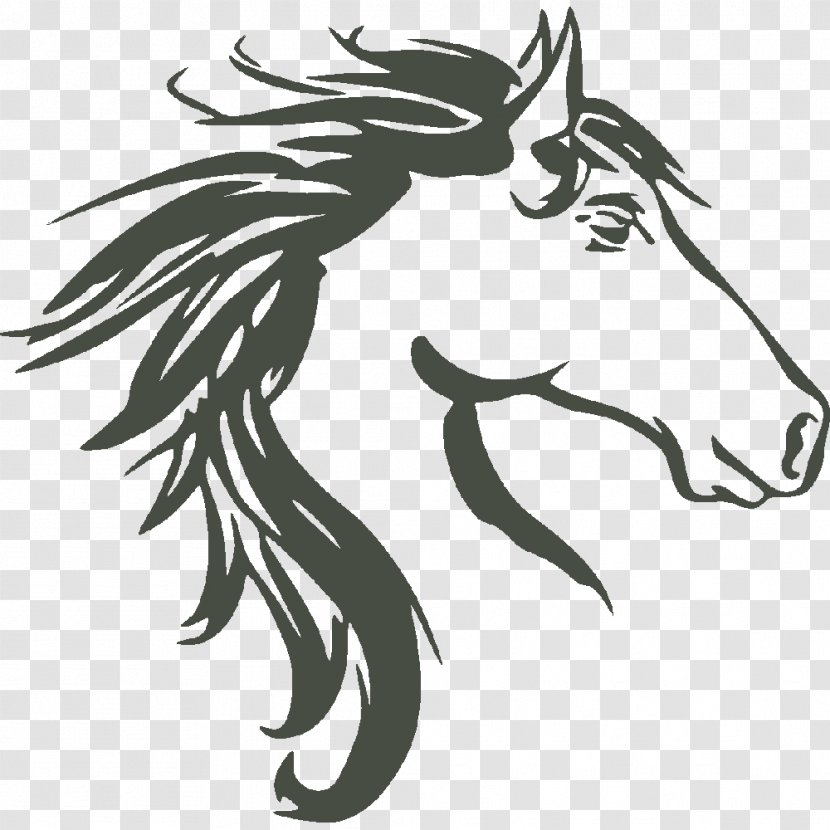 Horse Royalty-free Stock Photography Vector Graphics Image - Line Art - Appaloosa Head Transparent PNG