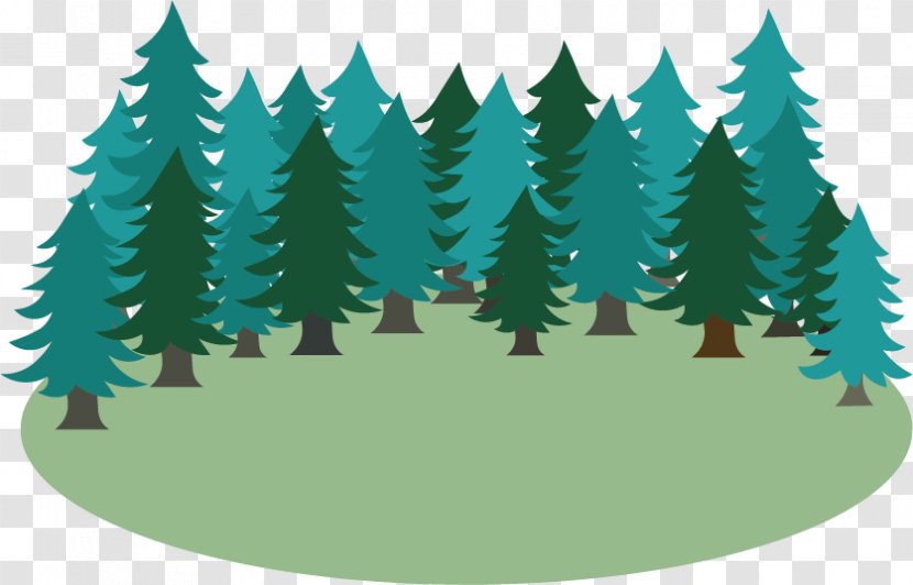 Spruce Fir Christmas Tree Ornament Pine - Leaf Transparent PNG