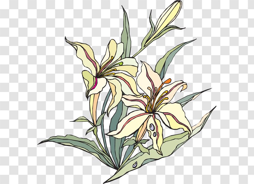 Easter Lily Flowering Plant Clip Art - Valley Cliparts Transparent PNG