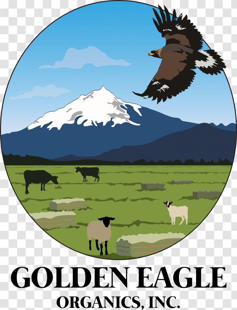 Golden Eagle Organics, Inc. Hay Cattle Organic Food Goat Meat - Central Oregon - Lamb Transparent PNG