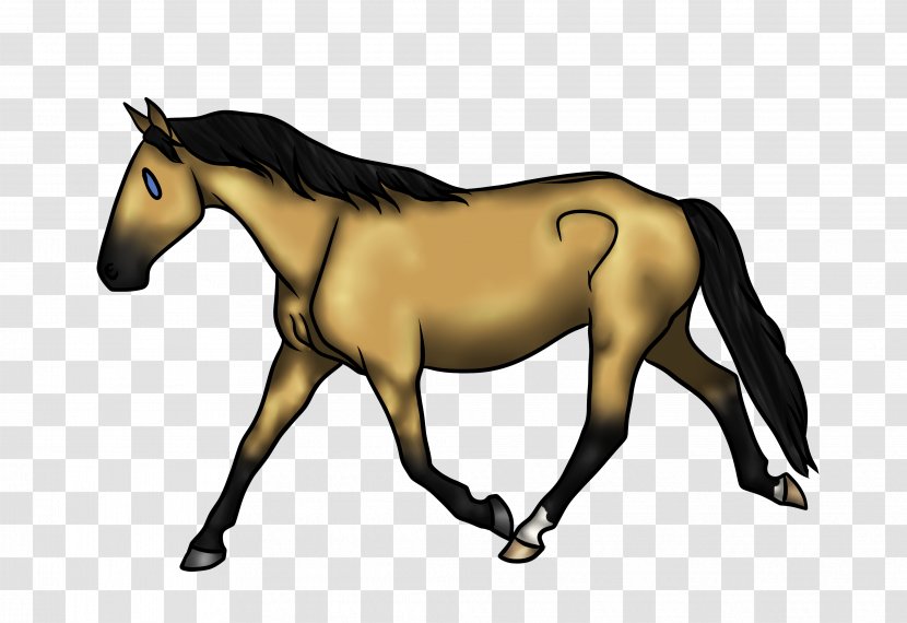 Foal Stallion Mustang Mare Colt - Foxtail Transparent PNG