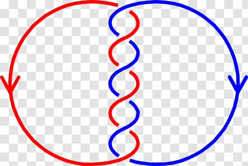 Linking Number Curve Knot Theory Mathematics - Symbol - One Transparent PNG