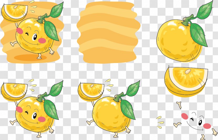 Lemon Mandarin Orange Sitrushibried Illustration - Expression Vector Holding Transparent PNG