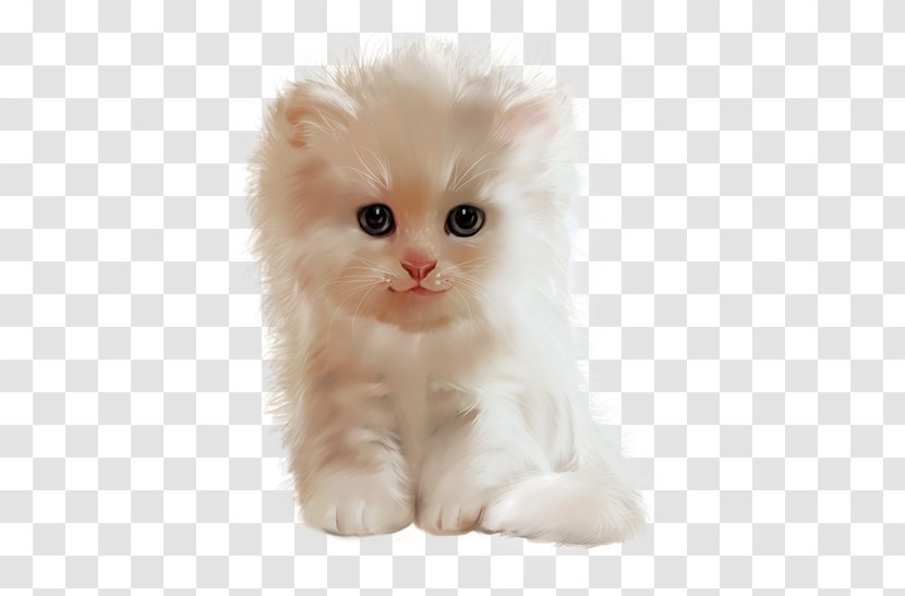 Persian Cat Asian Semi-longhair Ragamuffin American Curl British - Kitten Transparent PNG