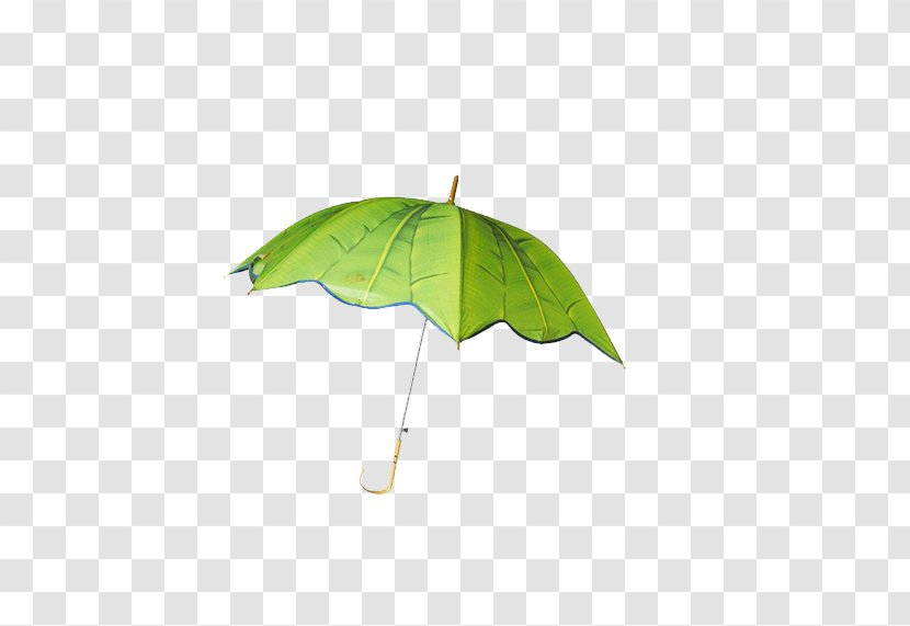 Umbrella Parachute Stroke - Insect Transparent PNG