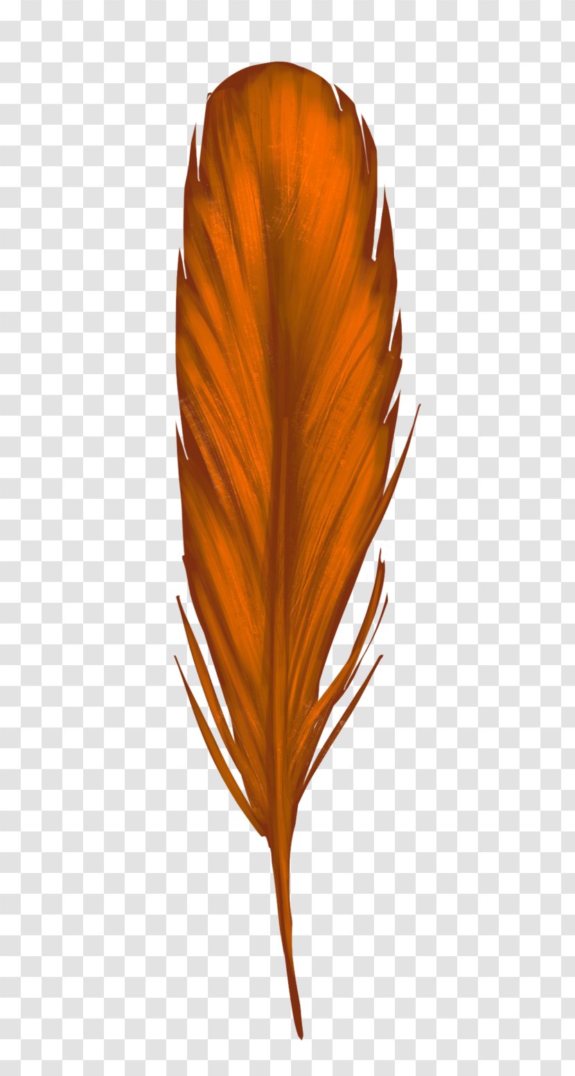 Leaf Petal - Orange Feathers Transparent PNG