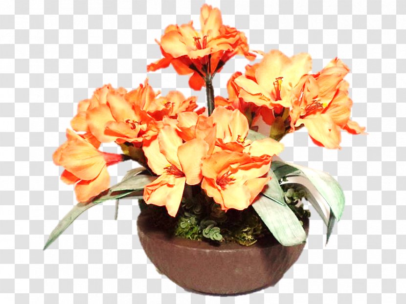 Floral Design Flowerpot Canna Cut Flowers - Flower Arranging Transparent PNG